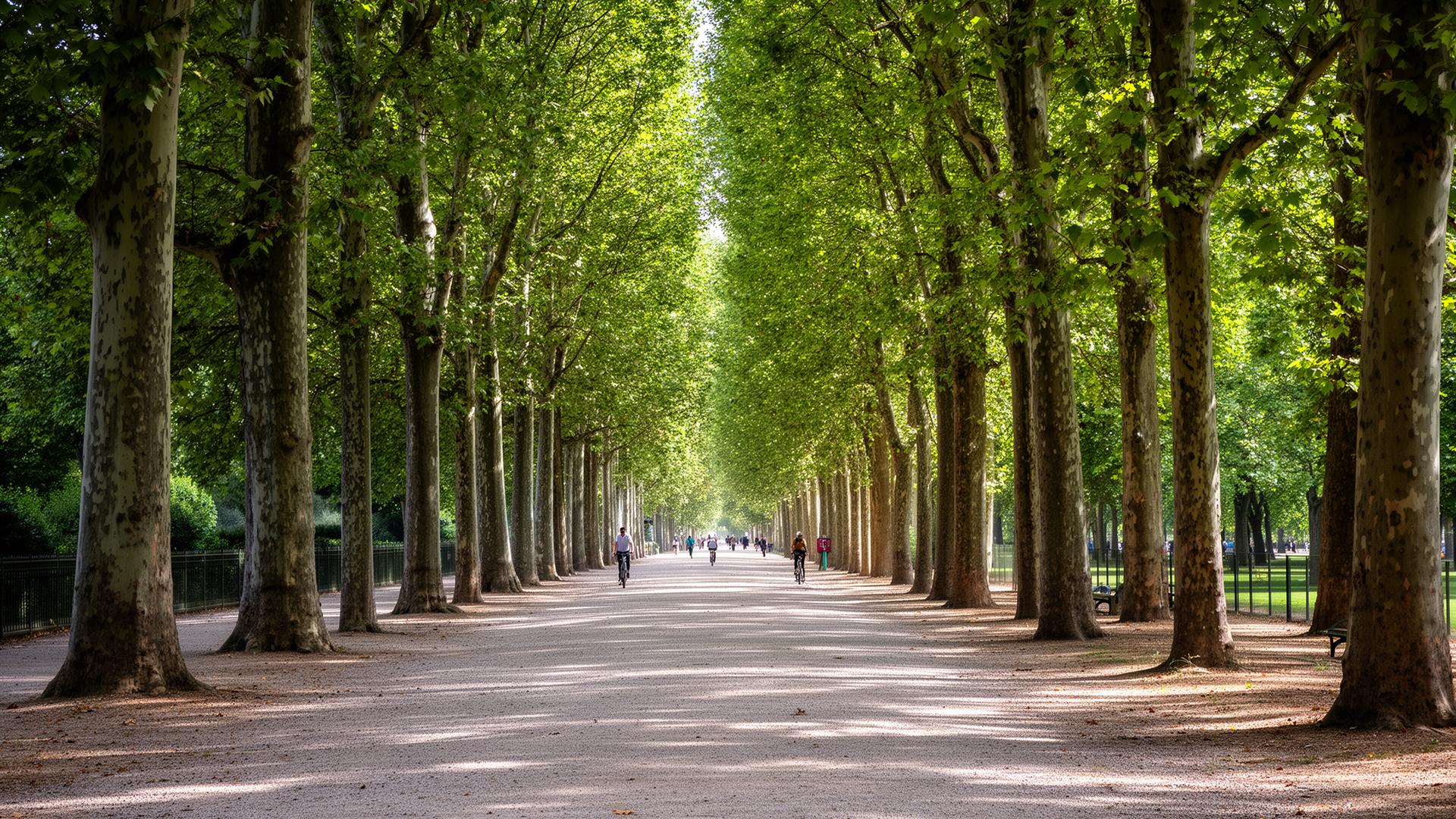 Parc de l'Orangerie 4